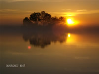 Fotografii Delta Dunarii, foto Delta Dunarii, pictures Danube Delta